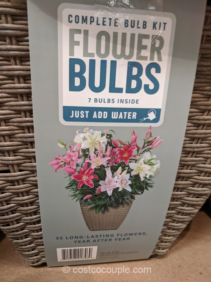Flower Bulbs Container