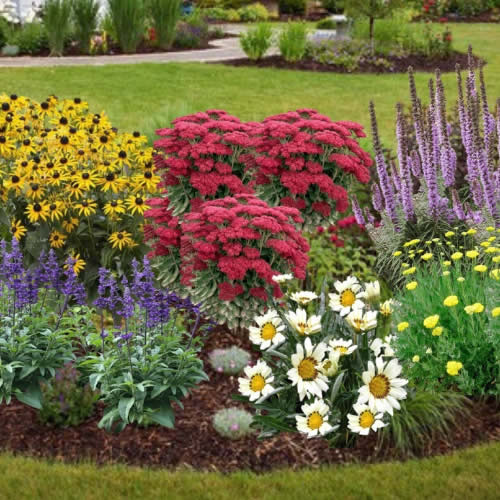 Bower Branch Transfer Page Costco Next