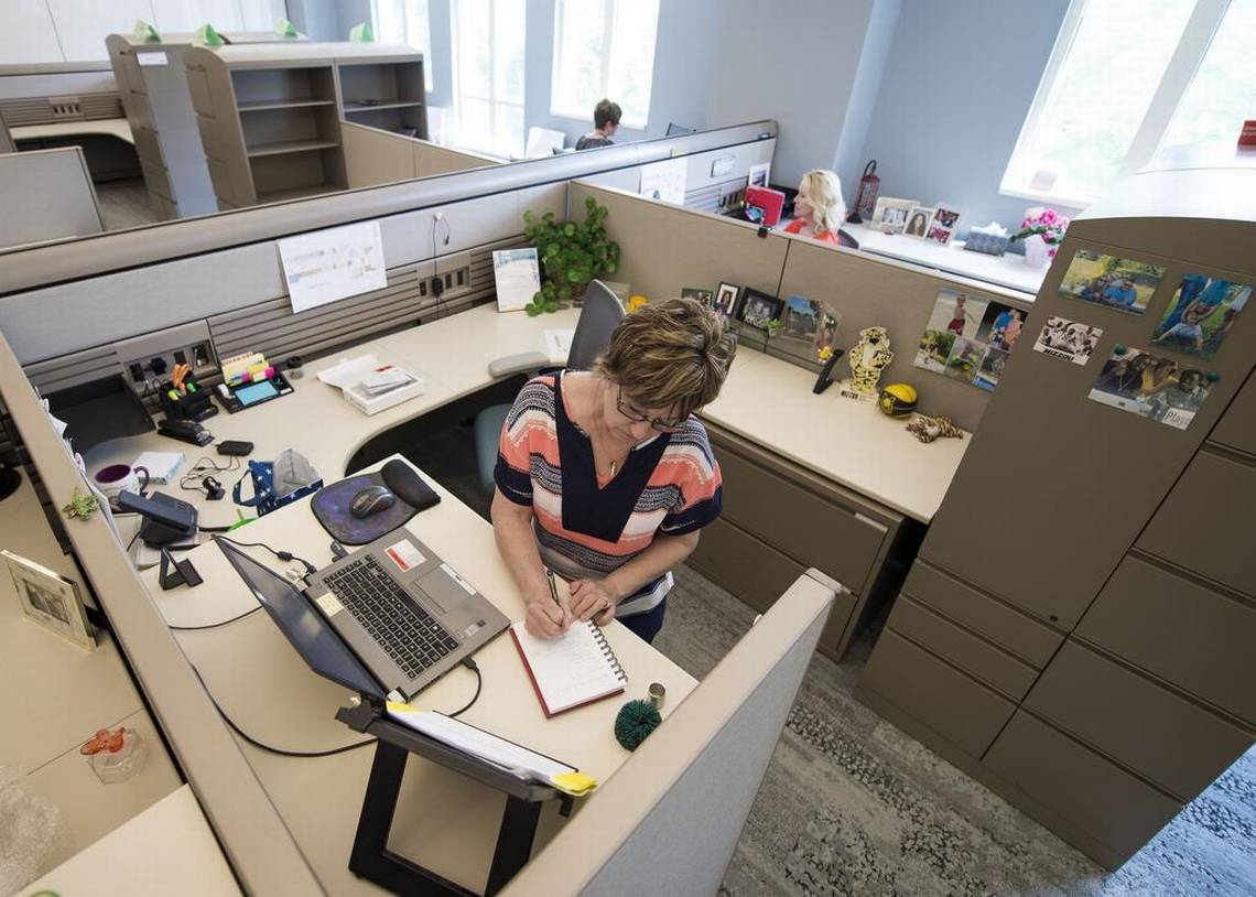 How Much Does An Office Cubicle Cost? [Installation & Other Rates]