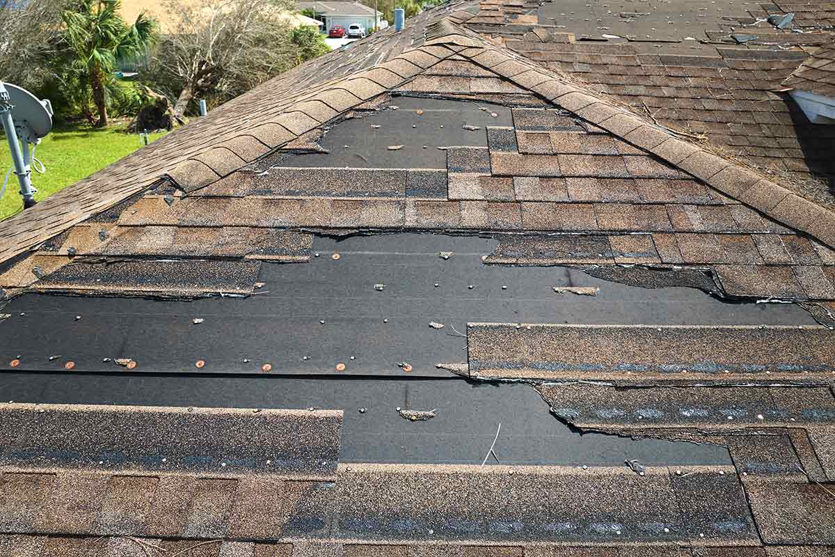 How Much Does a New Roof Cost? Cost Plus Construction