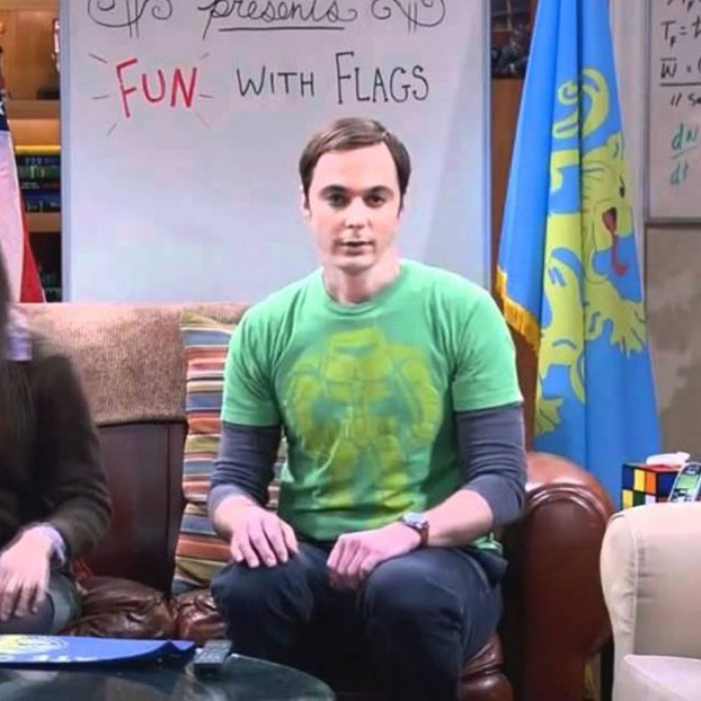 Sheldon Cooper Costume The Big Bang Theory Fancy Dress