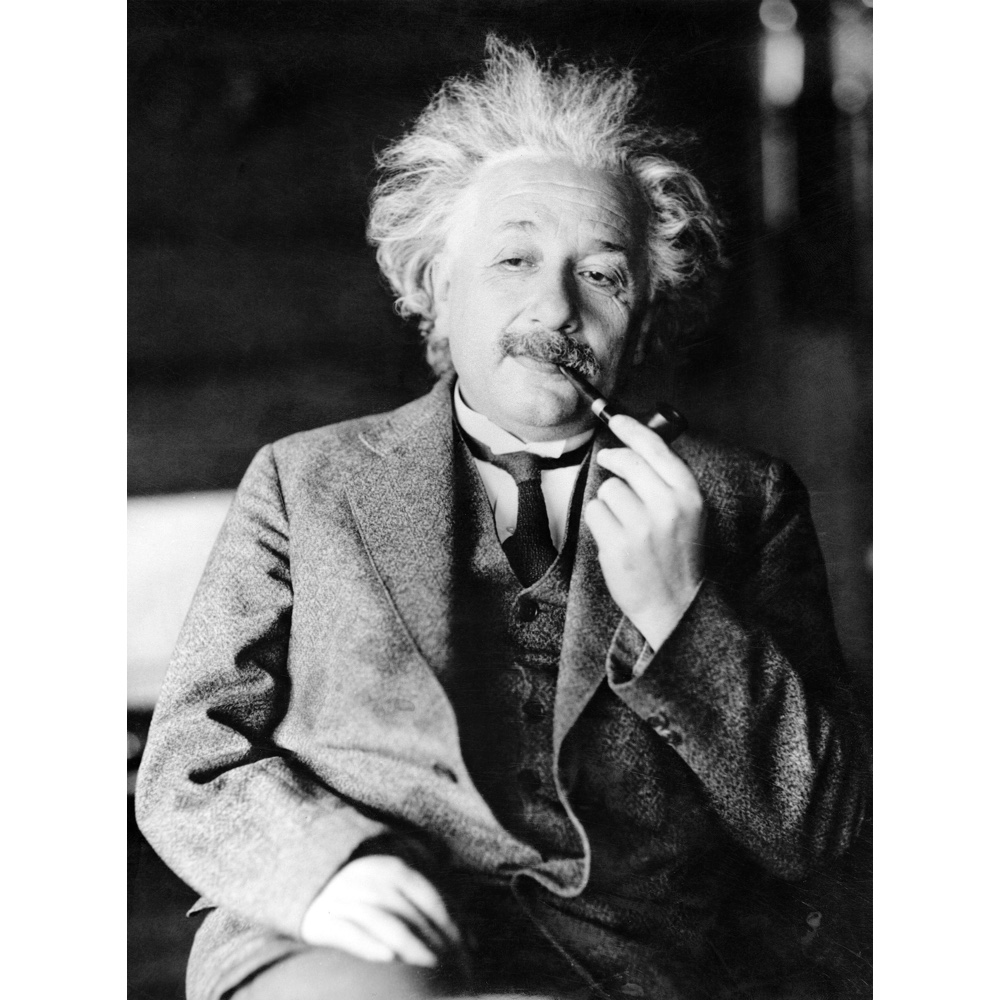 Albert Einstein Costume Fancy Dress Ideas