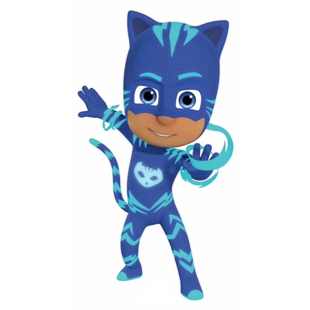 Catboy Costume PJ Masks Fancy Dress Ideas