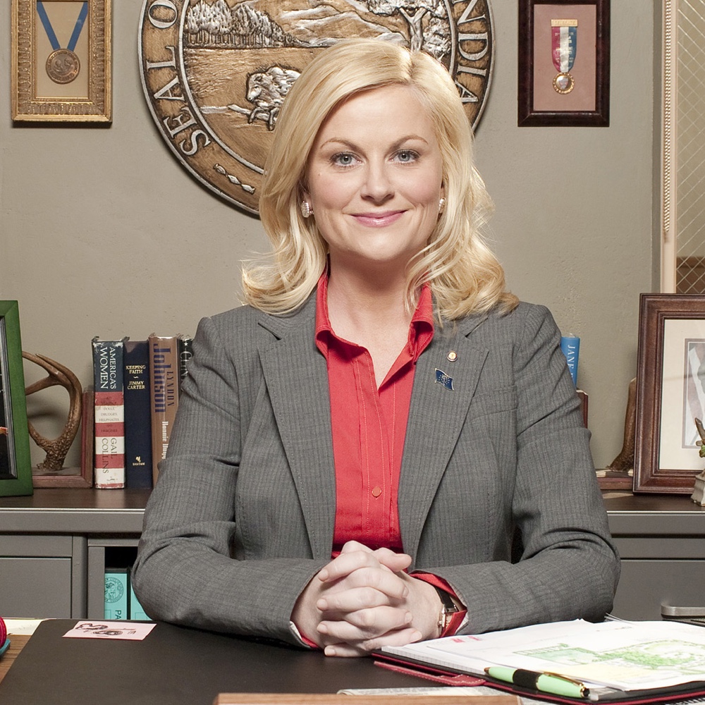 Leslie Knope Costume Parks and Recreation Fancy Dress