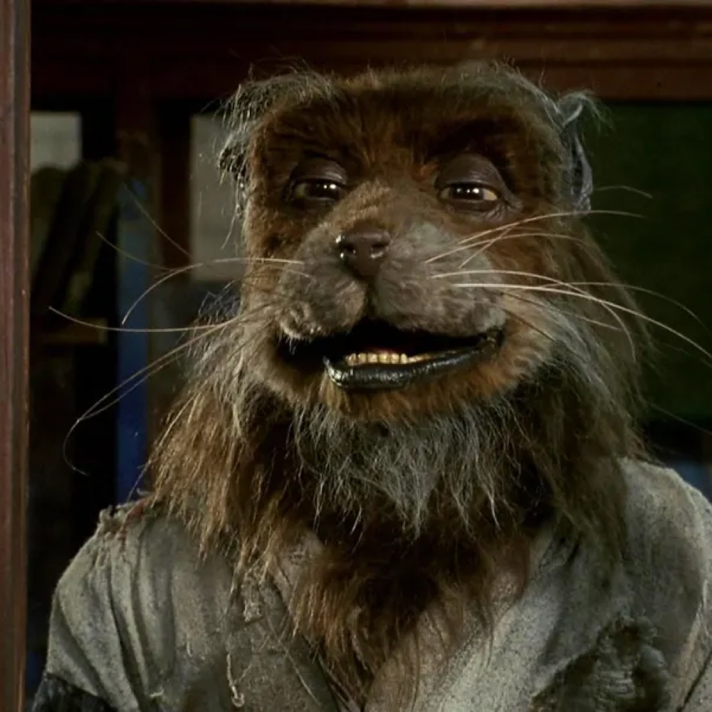 Master Splinter Costume Teenage Mutant Ninja Turtles