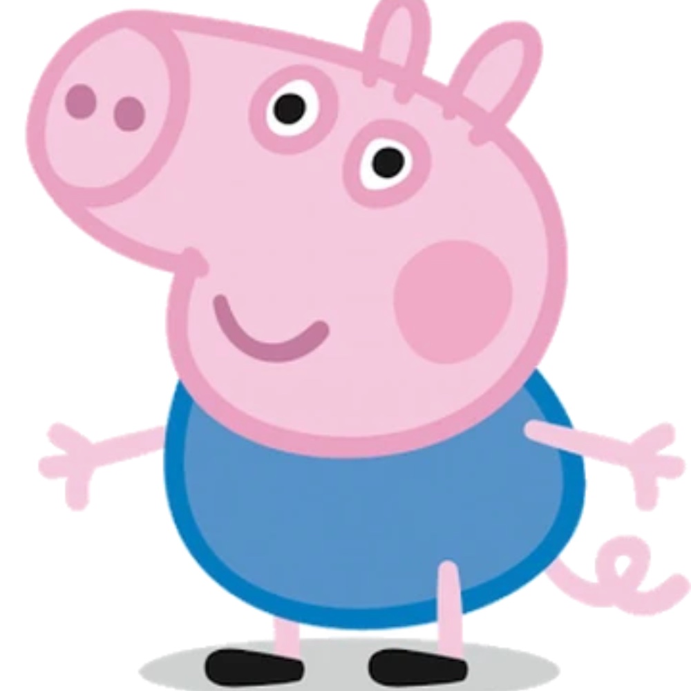 Pig Costume Peppa Pig Fancy Dress Ideas