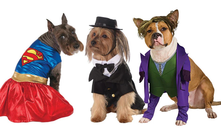 Costume World Buy Costumes NZ Halloween Costumes & Accessories