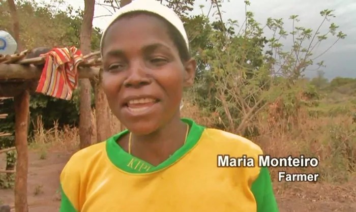 Sofala, Mozambique (past project) Carbon Offsets To