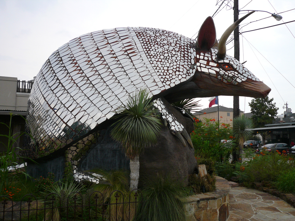 The New Armadillo Palace Coterie Spark