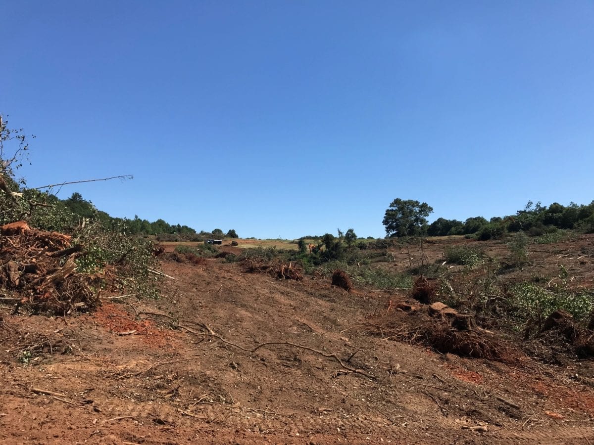 Logging and Clearing Started at Holly Ridge Cothran Properties