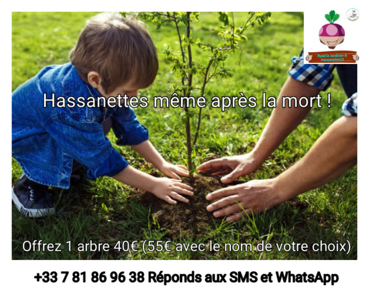 PLANTER 100 ARBRES 4000€