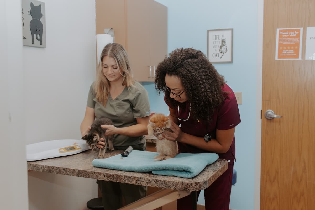 Cotner Pet Care, Veterinarian in Lincoln, NE