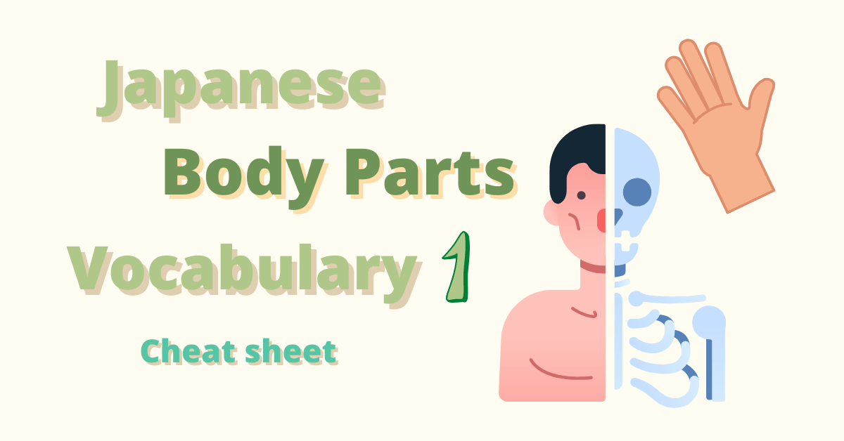 Japanese Body Parts Vocabulary 1 Cheat Sheet Coto Academy