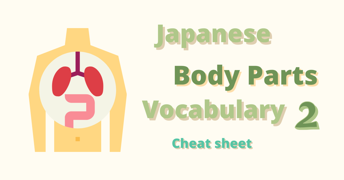 Japanese Body Parts Vocabulary 2 Cheat Sheet Coto Academy