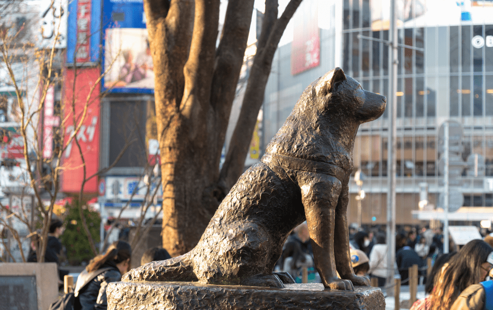10 Things You Didn’t Know About Shibuya’s Famous Hachiko Statue Coto