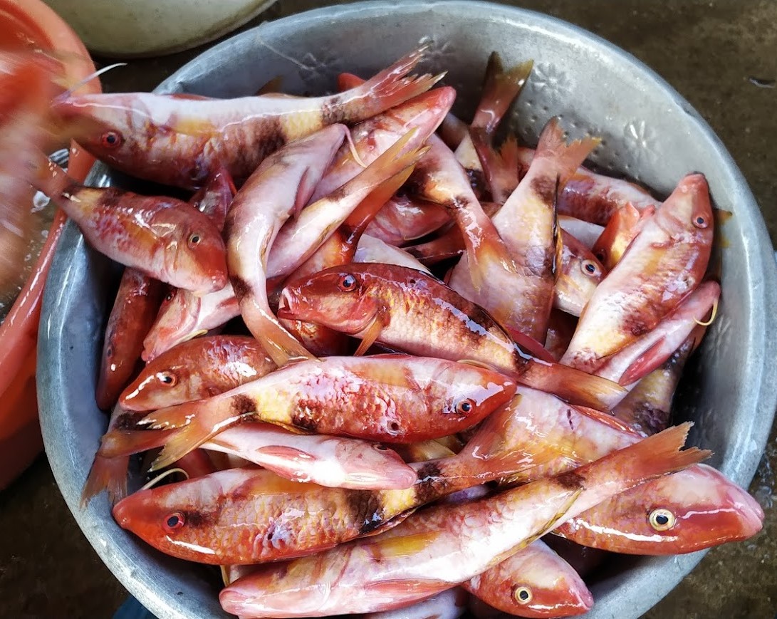 Cá Phèn Làm Sạch Cò Tre Phú Quý