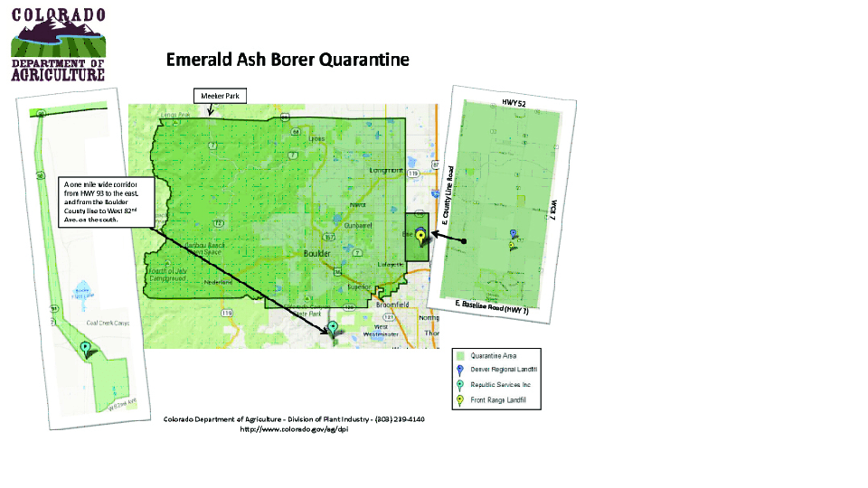Emerald Ash Borer City of Englewood, Colorado