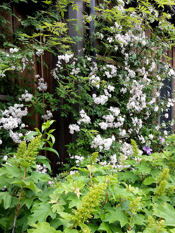 About Cotswold Gardens Inc.