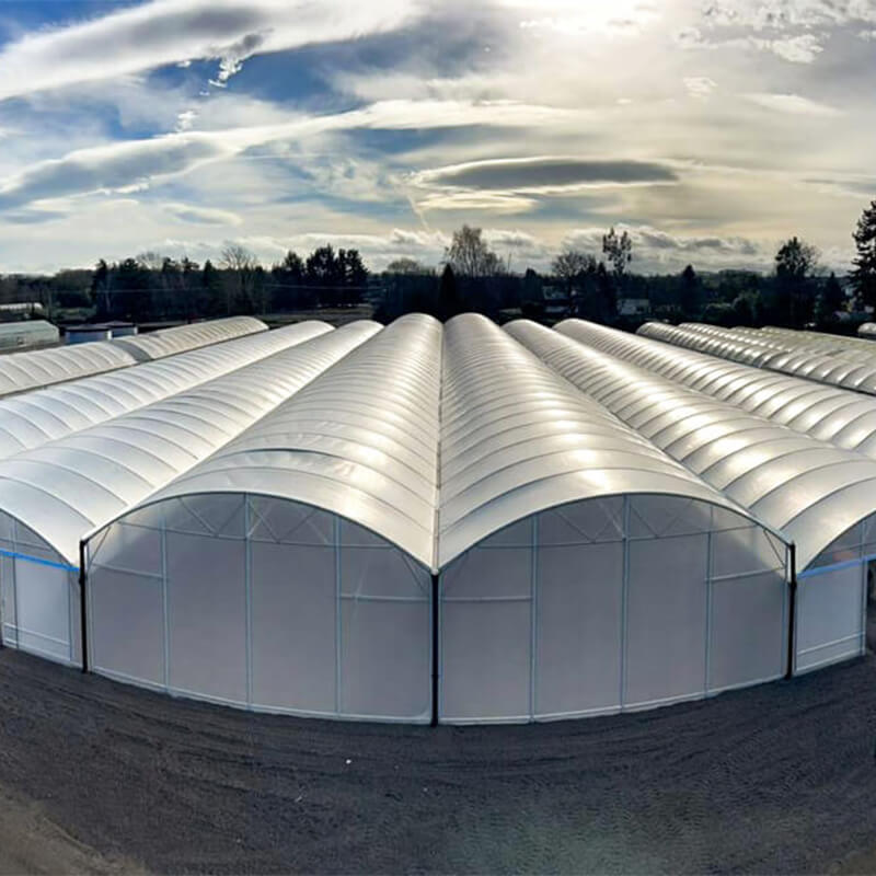 Keder Greenhouse Cotswold Select