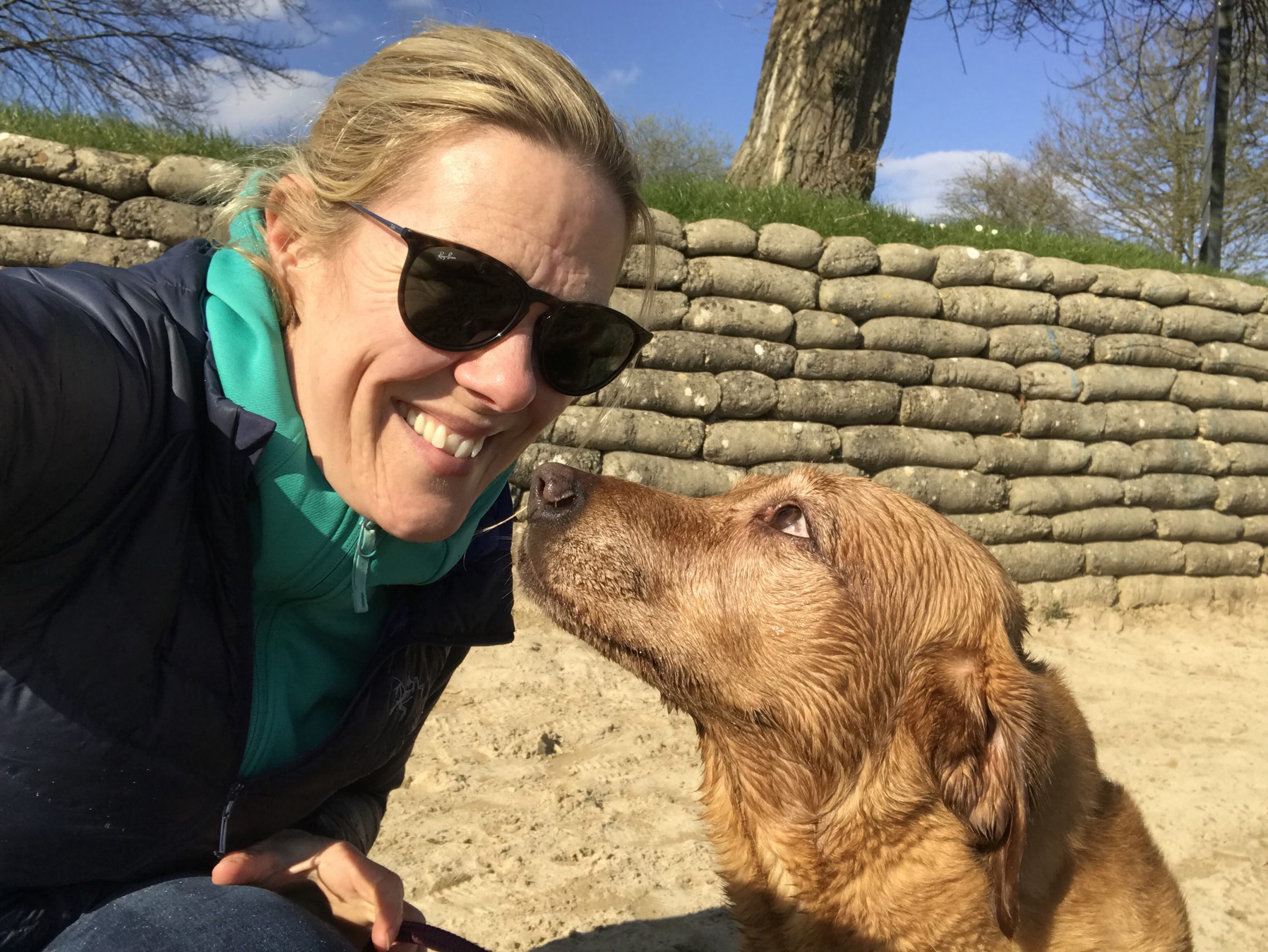 Our Veterinary Team In Driffield, Cirencester Cotswold Vets