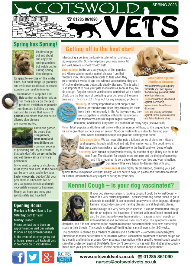 Cotswold Road Vets Gloucester at Calvin Stokes blog