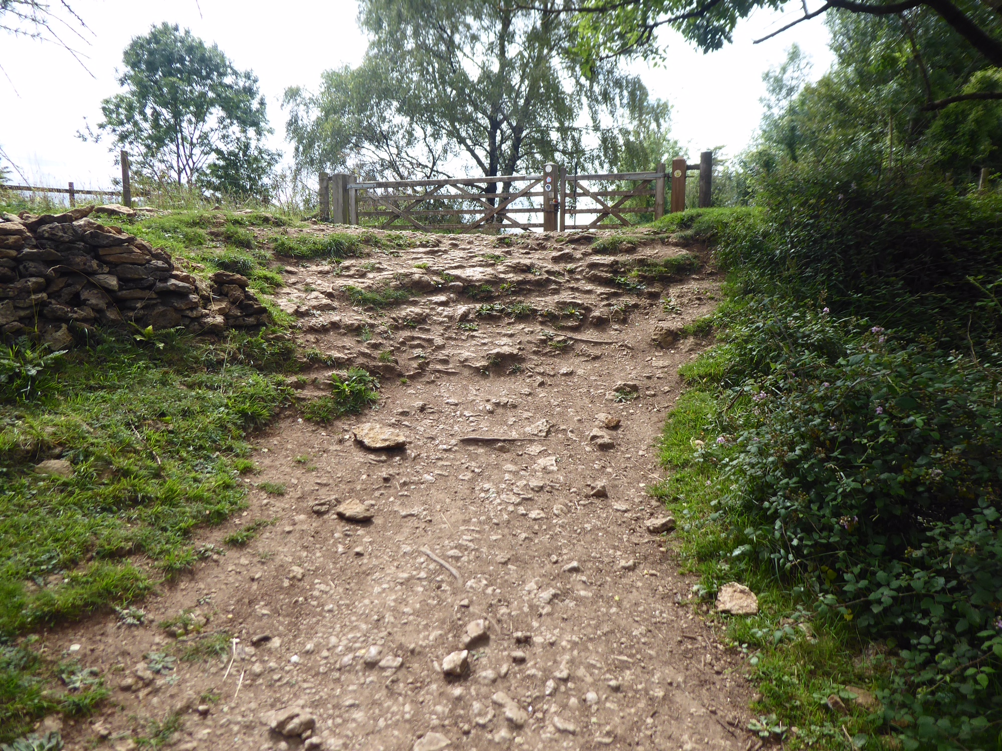 Leckhampton Hill Project Completed Cotswold Way Association