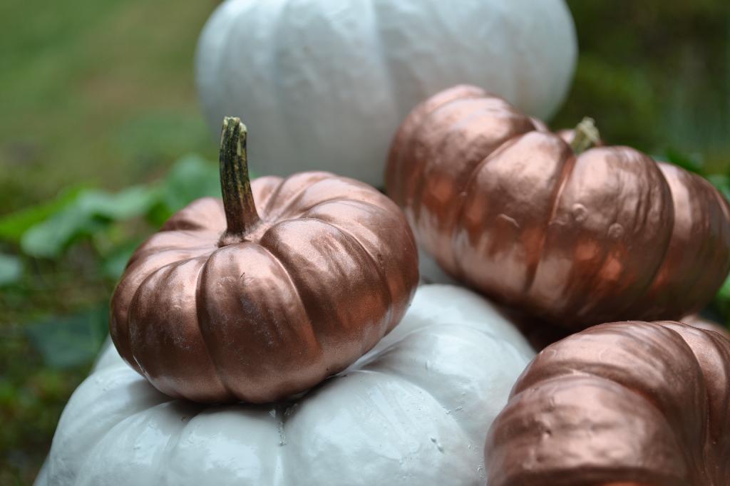 shabby chic painted pumpkins, it’s a DIY cottage fix