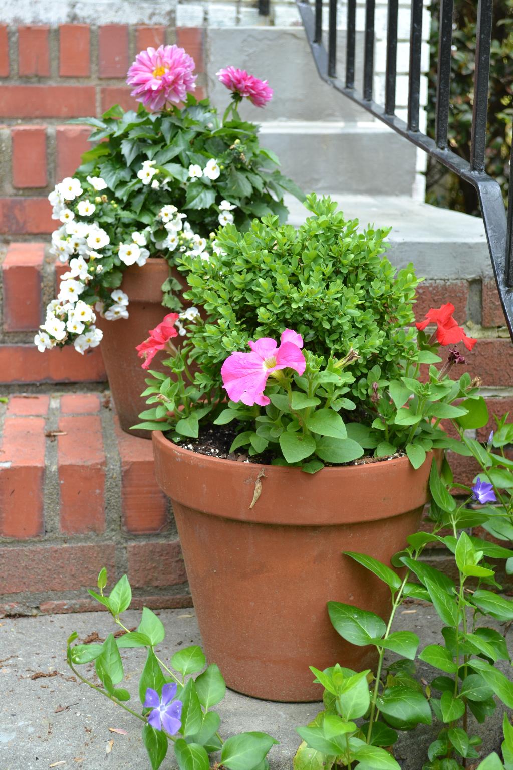 5 easy ways to add cottage charm to your garden cottage fix