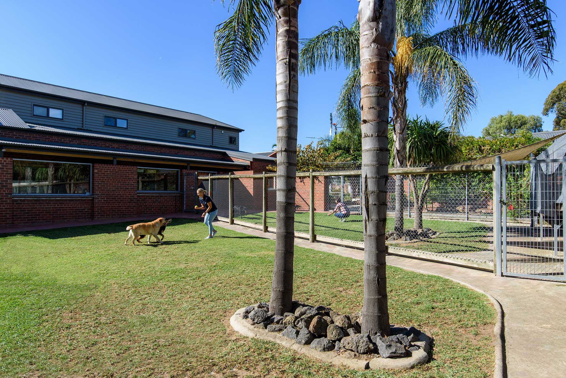 Activity Time for Dogs & Cats Cottage Kennels & Cattery Pet Hotel
