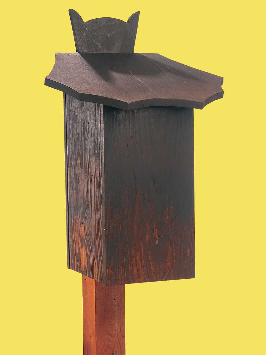 Bat Box Cottage Life