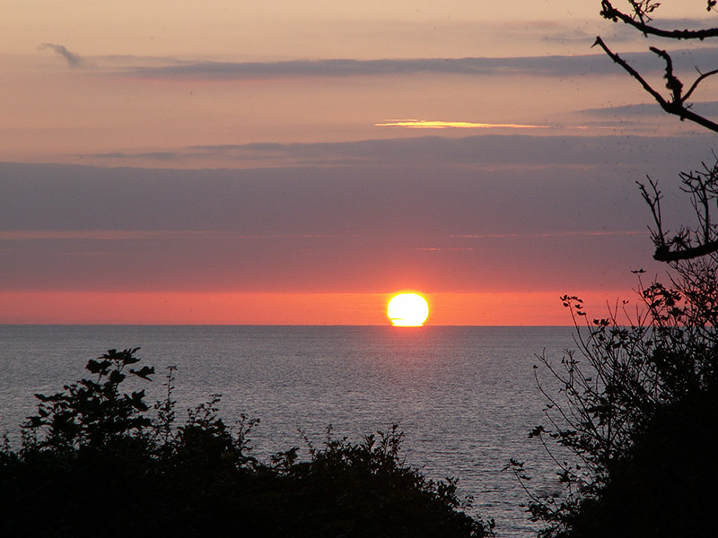 Aberbach Smugglers Cottage Retreats in Pembrokeshire