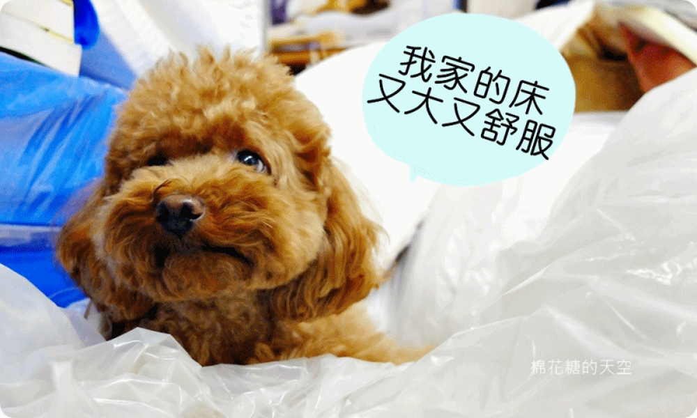 新北床墊推薦新莊永鎰手工彈簧床，現場製作最實在，表布、軟硬、尺寸都可客製 棉花糖的天空