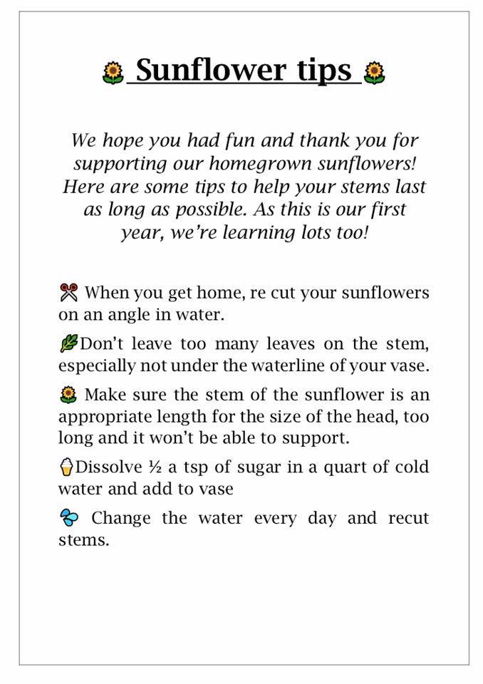 Latest News Florists Northampton