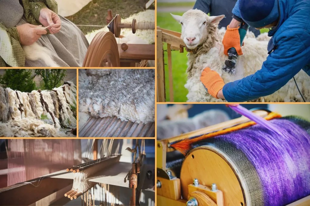 Why Is Merino Wool So Expensive? [6 Unpopular Reasons]