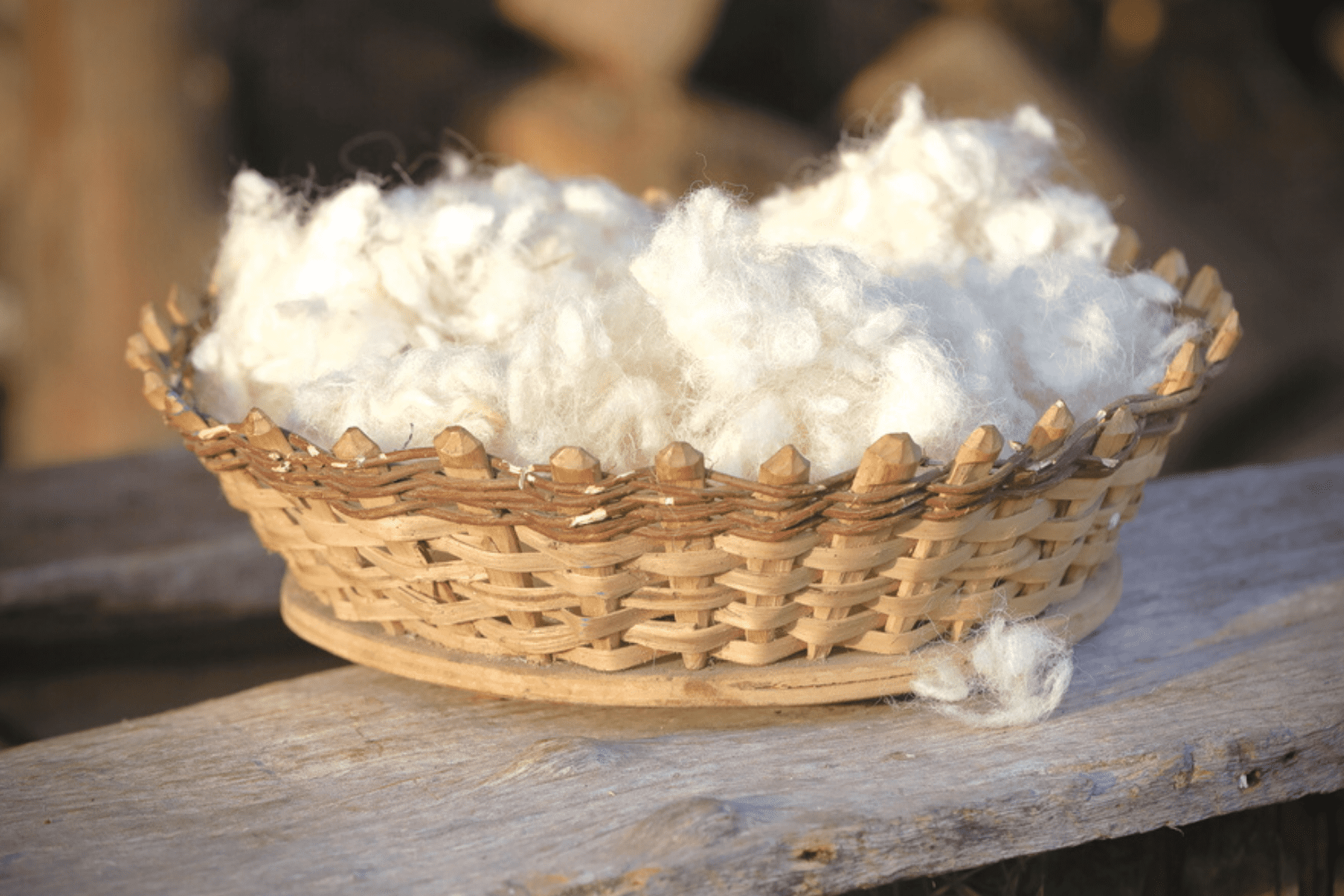 Why Is Merino Wool So Expensive? [6 Unpopular Reasons]