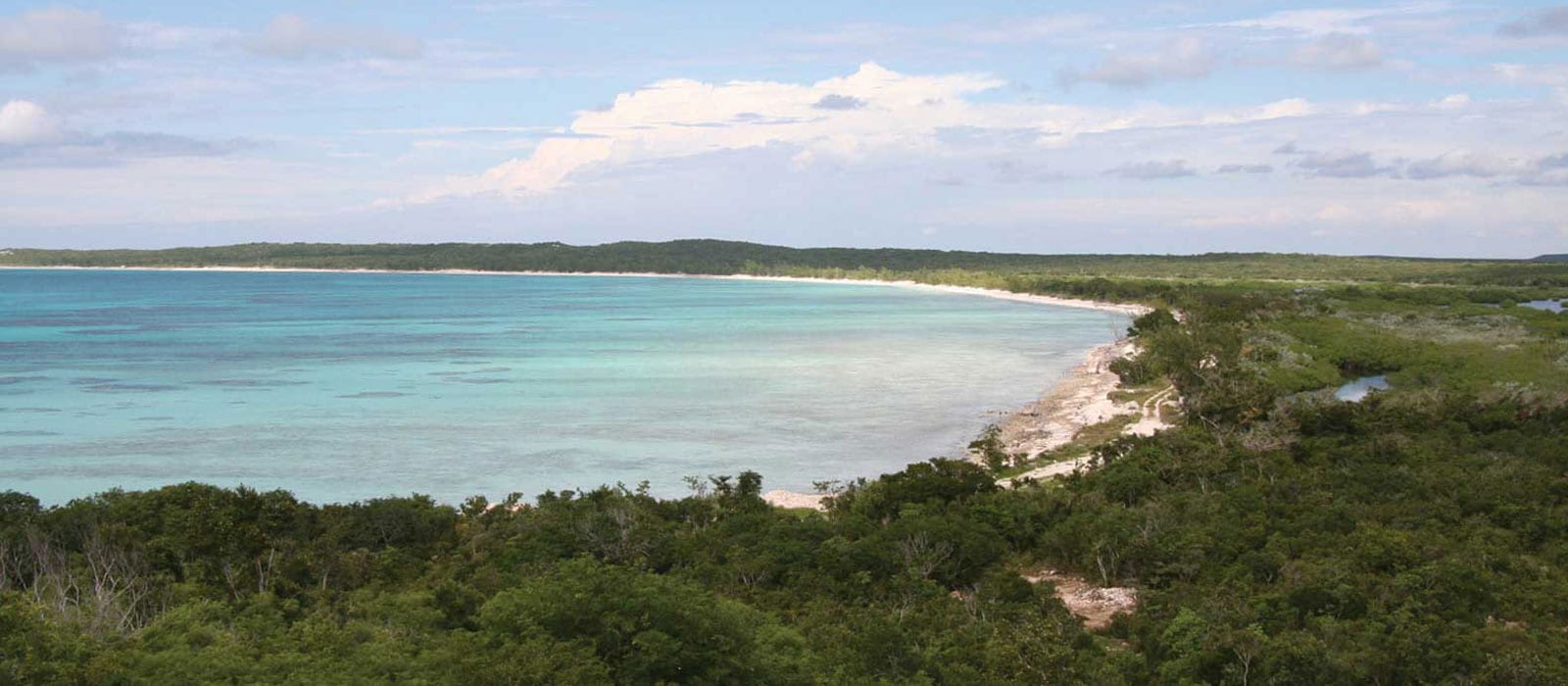 Rum Cay Out Island Marketing Bahamas Cotton & Company