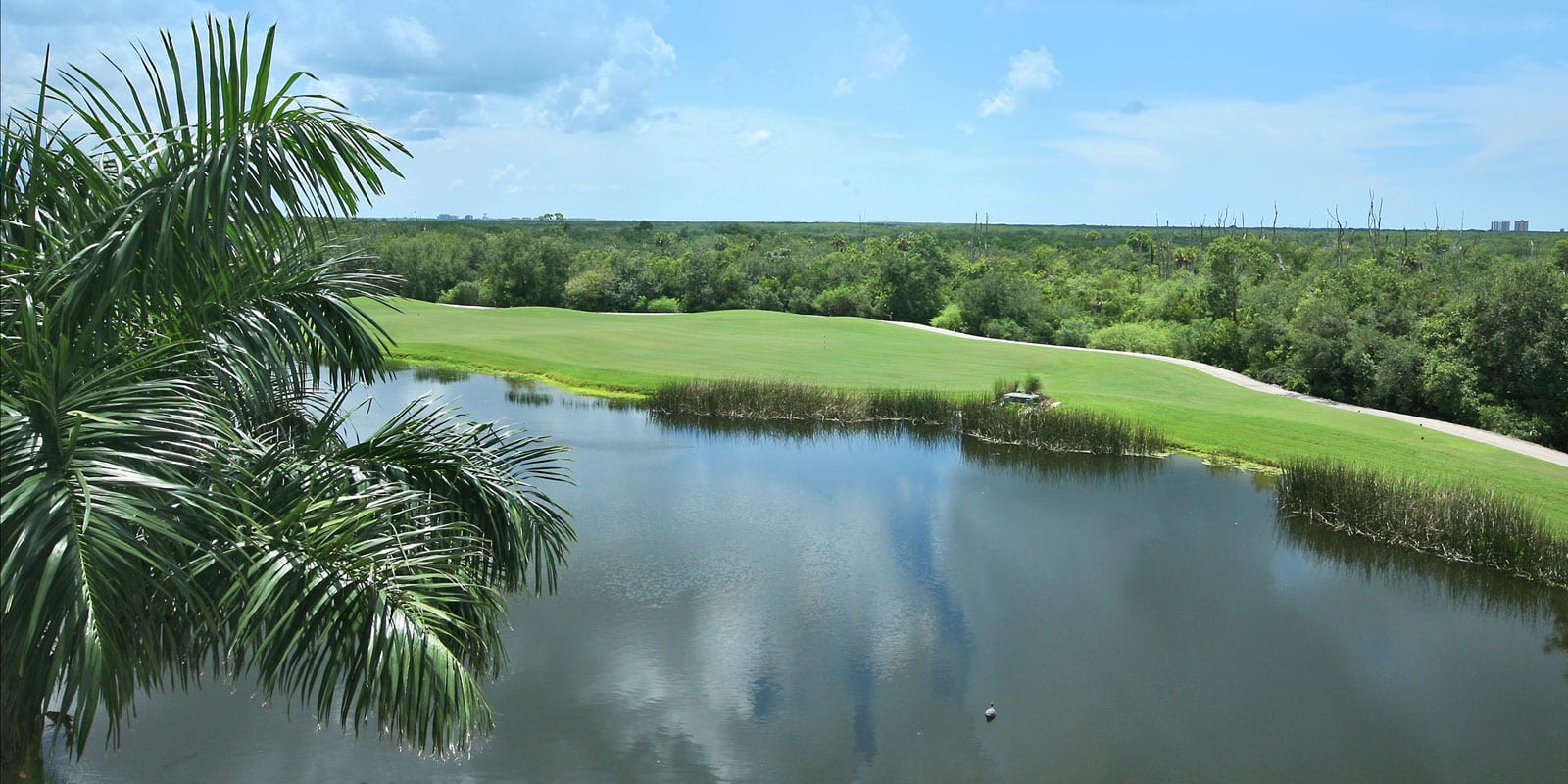 West Bay Realty Advertising Real Estate Digital Marketing Agency Cotton & Company