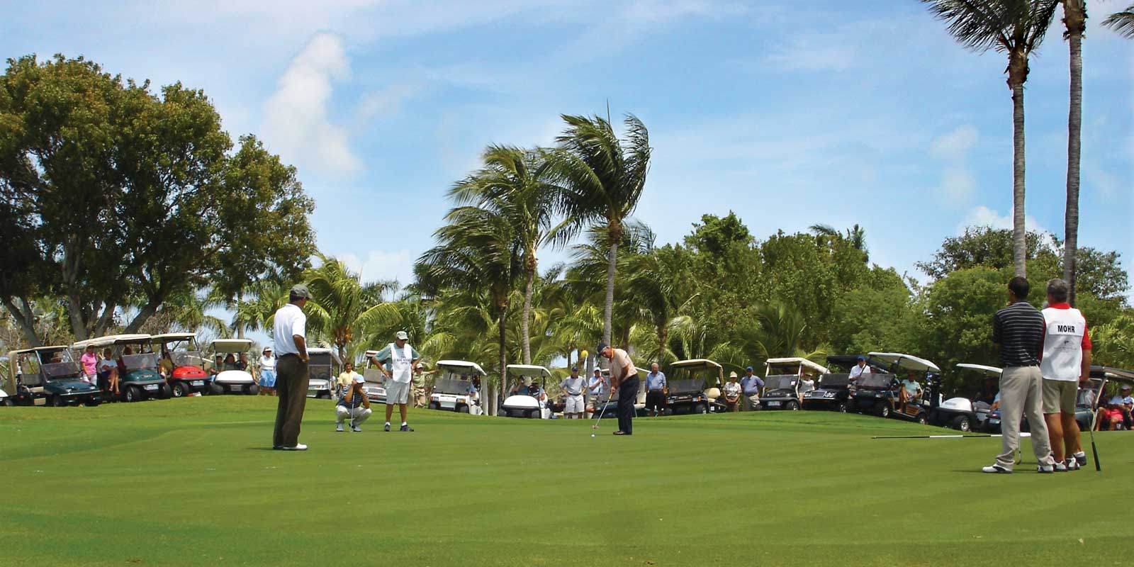 Ocean Reef Realty Digital Marketing Cotton & Company