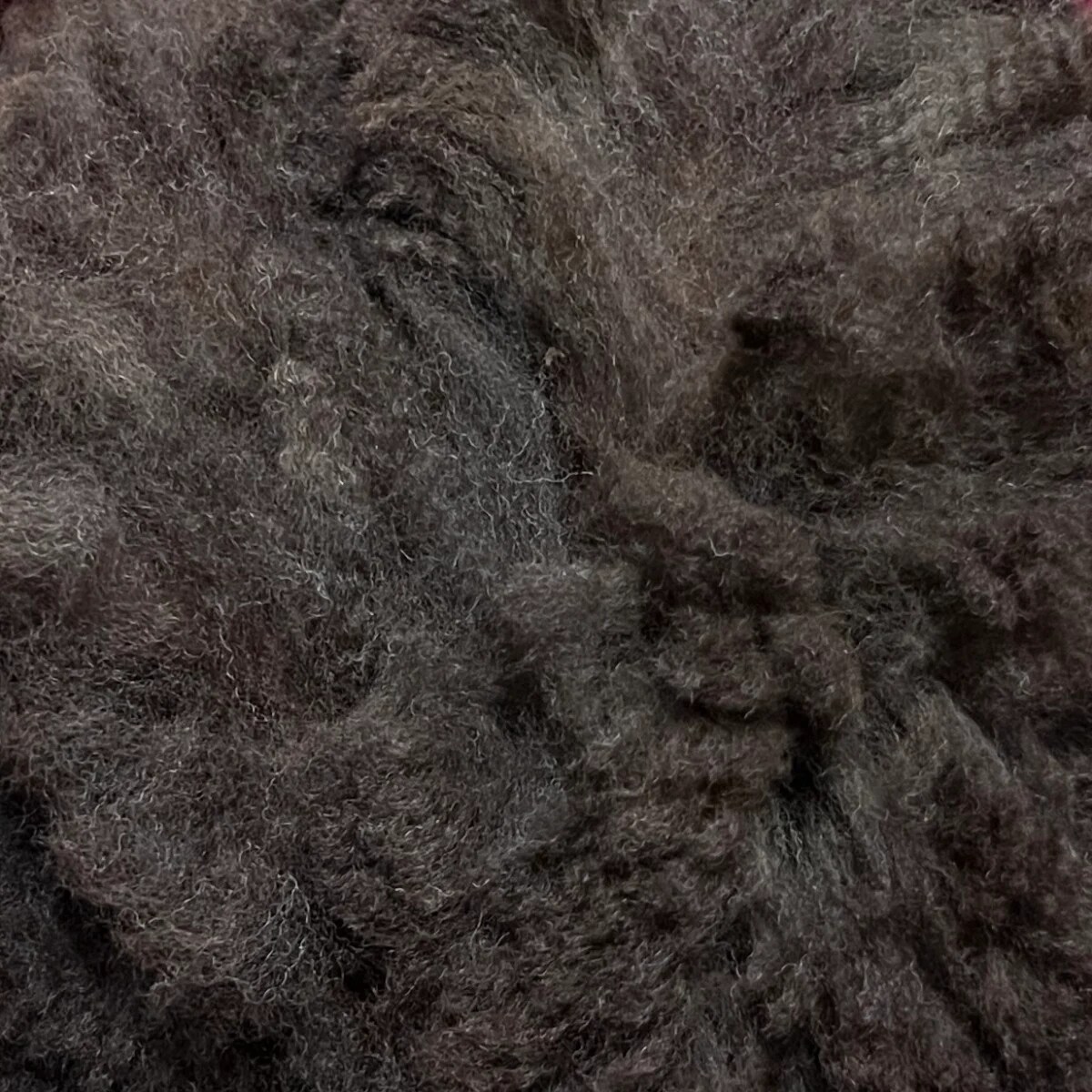 Enchanted Raw Alpaca Fiber in Dark Silver Grey .8 Pound