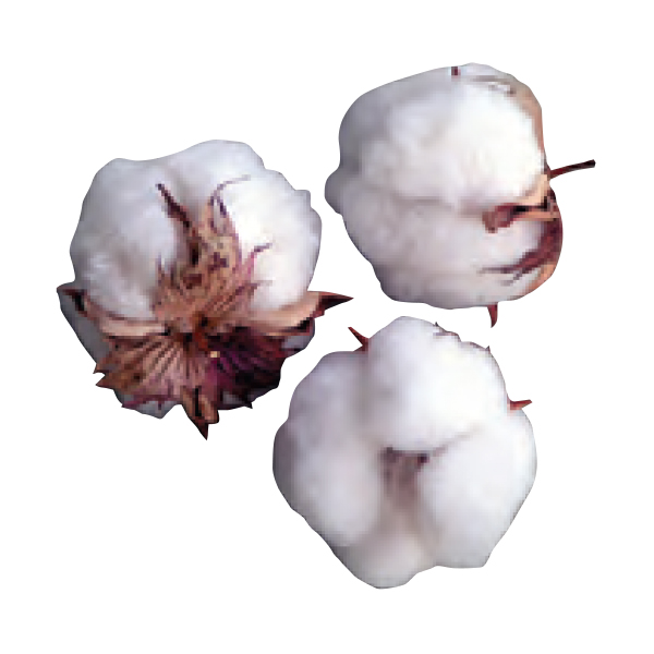 Miniature Cotton Bales