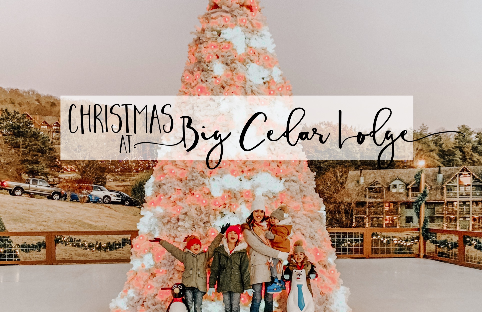 A Cotton Stem Christmas at Big Cedar Lodge! Cotton Stem