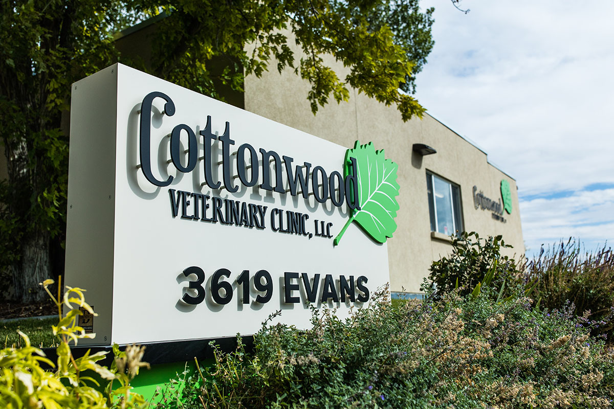 Home — Cottonwood Veterinary Clinic Cheyenne Wyoming