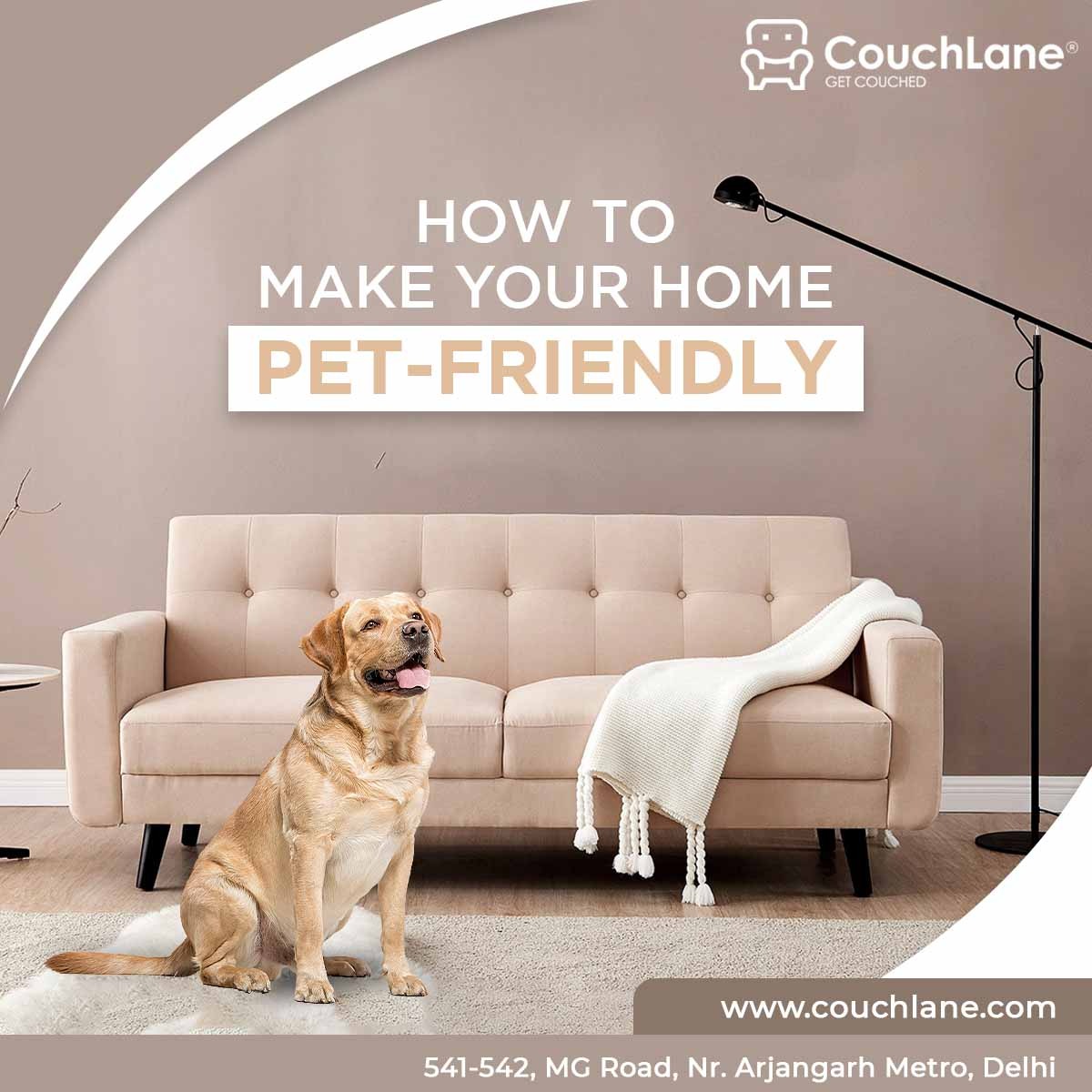 How To Make Your Home Pet Friendly Couchlane