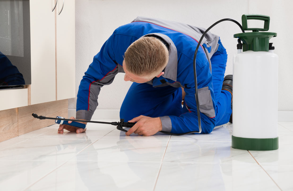 Couch's Pest Patrol Pinellas Termite Extermination & Pest Control