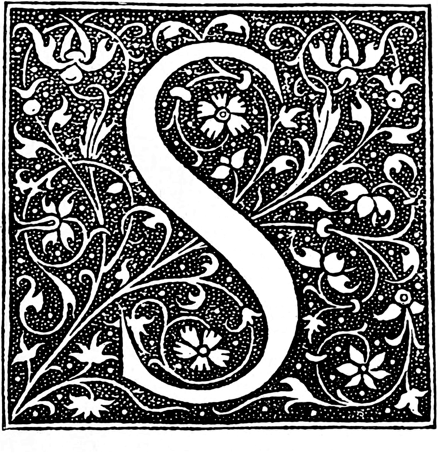 The Coucou French Slang Alphabet (Part 2) Coucou French Classes