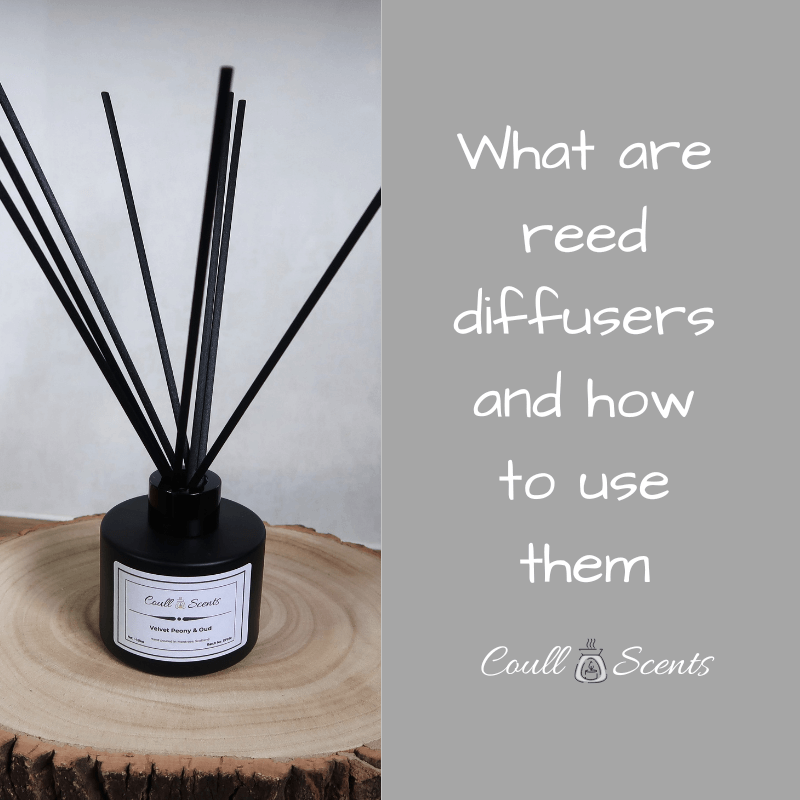 What are Reed Diffusers and how to use them Coull Scents