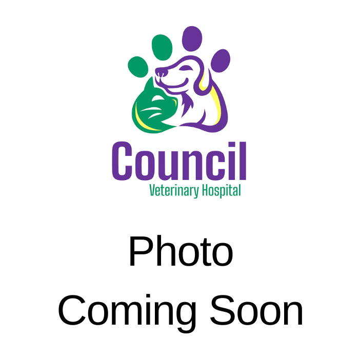 Veterinarian In Bethany, OK 73008 Companion Pet Hospital