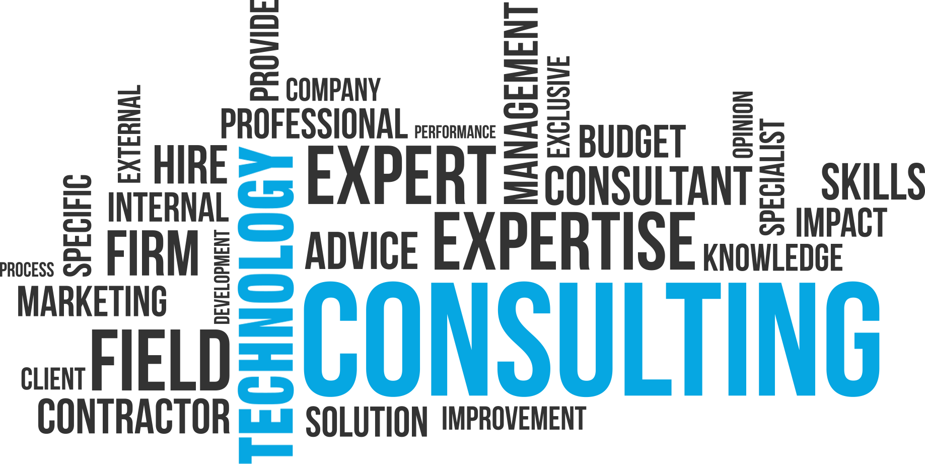 technologyconsultingwordcloud Counseling Private Practice