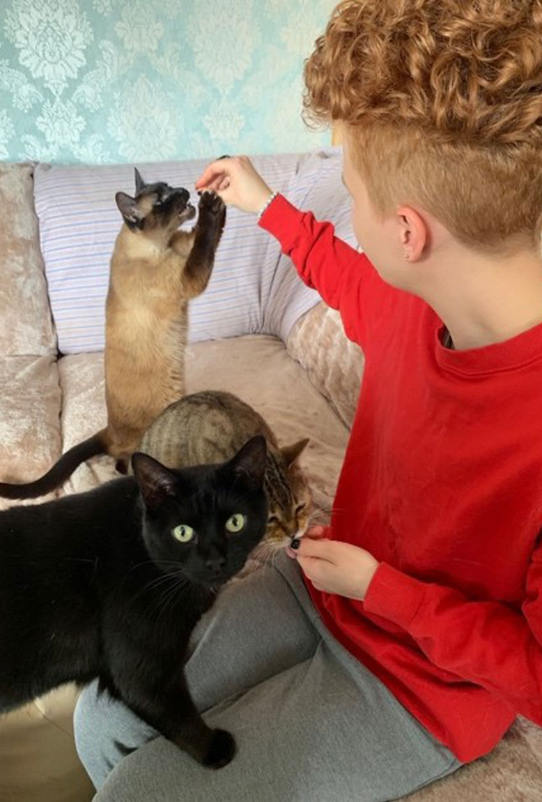 Counselling by Jane Fees Counselling