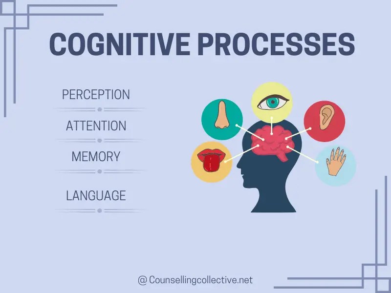 Cognitive Psychology Exploring the mind and behavior